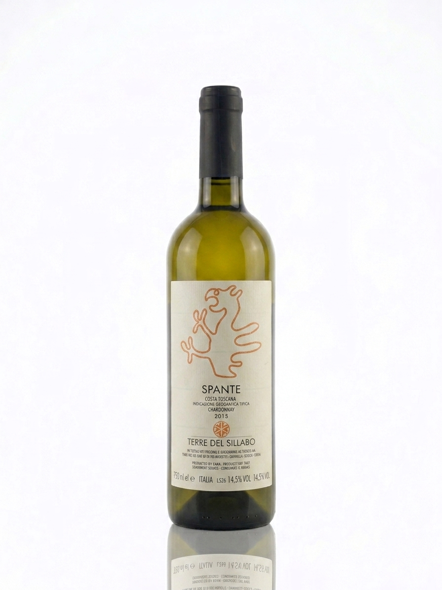 Terre del Sillabo Spante 2015
