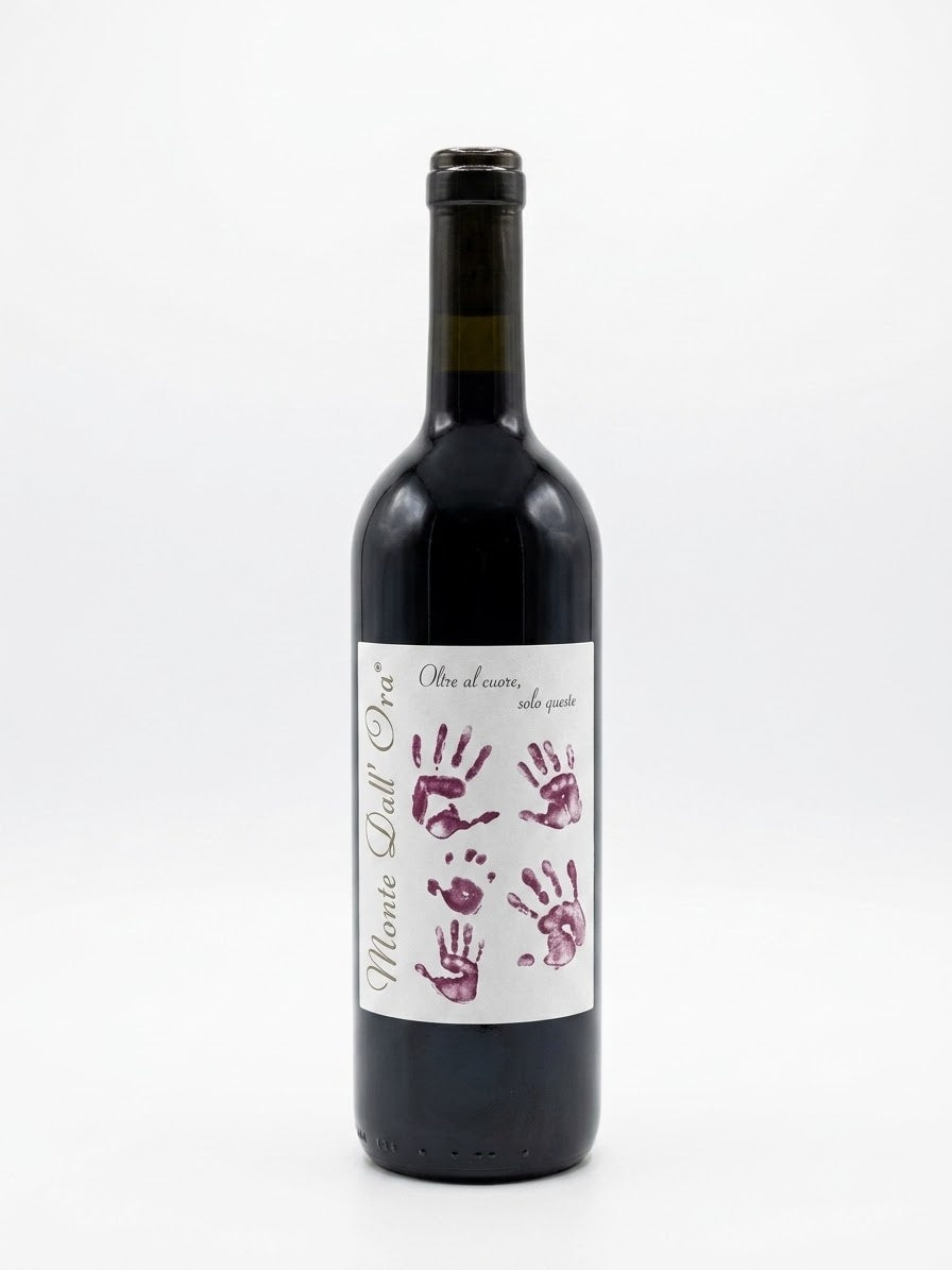 Monte dall'Ora - Valpolicella Classico "Saseti" 2025