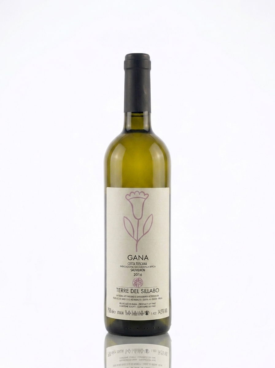 Terre del Sillabo Gana 2016