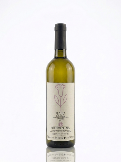Terre del Sillabo Gana 2016