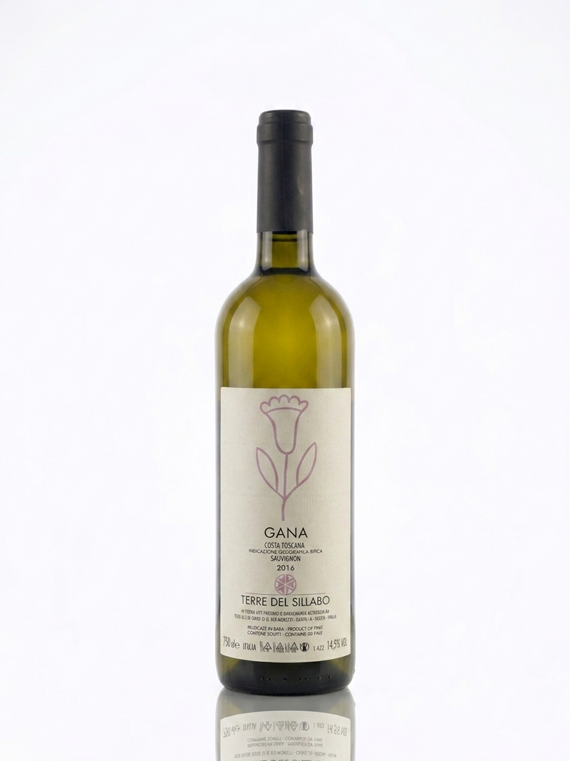 Terre del Sillabo Gana 2016