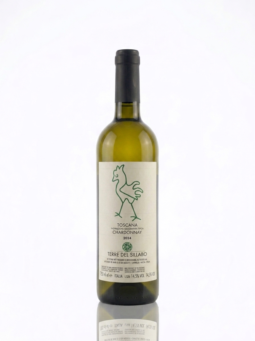 Terre del Sillabo Chardonnay 2024