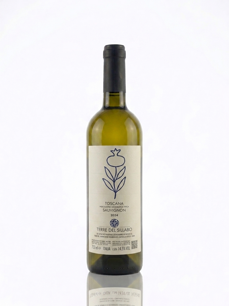 Terre del Sillabo Sauvignon 2024